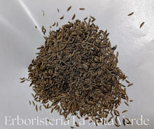 Load image into Gallery viewer, CARBONE SEEDS KUMMEL ORGANIC CUMIN (CARUM CARVI)
