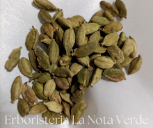 Load image into Gallery viewer, CARDAMOM SEEDS (ELETTARIA CARDAMOMUM)