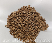 Load image into Gallery viewer, CORIANDER SEEDS ORGANIC CORIANDRUM SATIVUM
