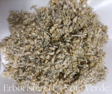 Load image into Gallery viewer, ORGANIC ITALIC HELICRYSUM (HELICRYSUM ITALICUM)