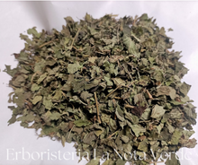Load image into Gallery viewer, ORGANIC MELISSA LEAVES (MELISSA OFFICINALIS)