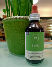 Carica l'immagine nel visualizzatore di Gallery, ESTRATTO IDROALCOLICO SALVIA CENTOFIORI 100 ml