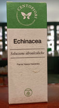 Laden Sie das Bild in den Galerie-Viewer, CENTOFIORI KALZINIERTER HYDROALKOHOLISCHER ECHINACEA-EXTRAKT 50 ML