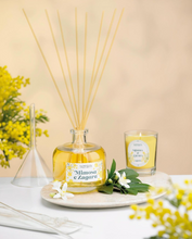 Load image into Gallery viewer, MIMOSA E ZAGARA DIFFUSORE SPRAY 100 ML