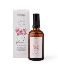 Laden Sie das Bild in den Galerie-Viewer, NASOTHERAPIE MULTIFUNKTIONALE AROMATÖLE ES IST ZEIT ZU GLÄNZEN 100 ML