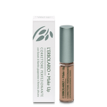 Load image into Gallery viewer, HONEY CONCEALER MAKE UP