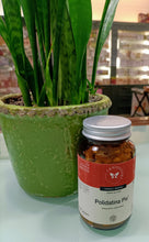 Carica l'immagine nel visualizzatore di Gallery, POLIDATINA PIU' CENTOFIORI 100 CAPSULE