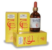 Load image into Gallery viewer, BUD DERIVATIVE RIBES NIGRUM 100 ML CENTOFIORI