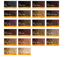 Load image into Gallery viewer, NUTRICOLOR TINT 5.22 PLUM RED