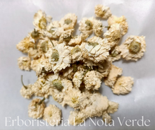Load image into Gallery viewer, ROMAN CHAMOMILE FLOWERS (ANTHEMIS NOBILIS)
