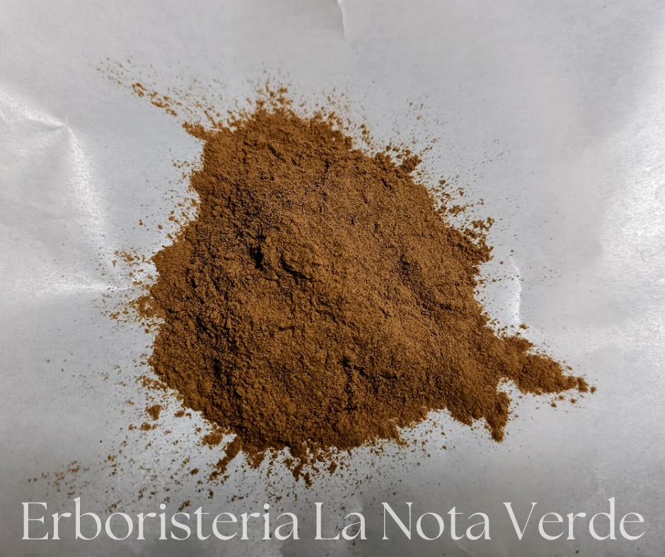 CANNELLA POLV. (CINNAMOMUM ZEYLANICUM)