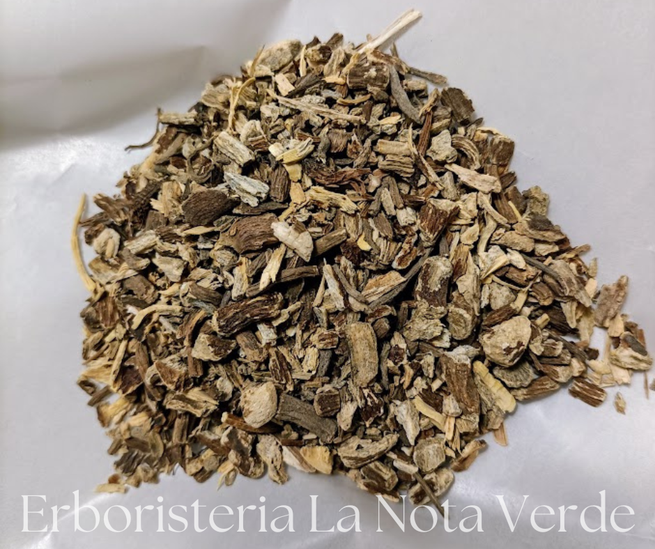 ECHINACEA PALLIDA ROOT TT 100 G