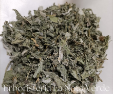 Load image into Gallery viewer, ORGANIC ARTICHOKE LEAVES (CYNARA SCOLYMUS)
