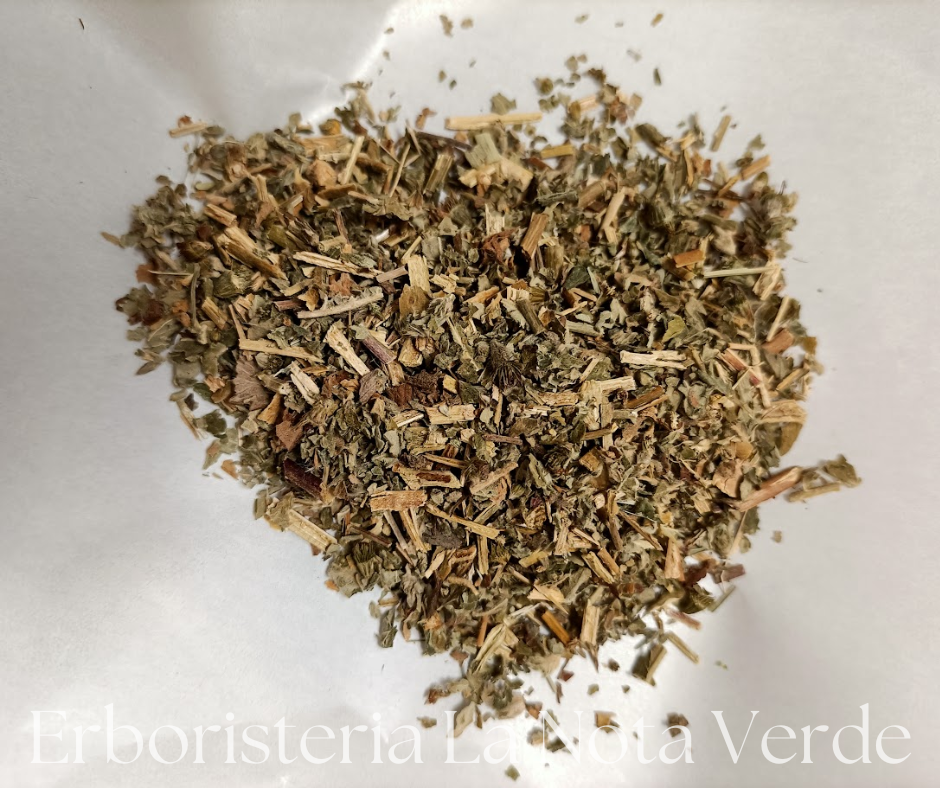 AGRIMONIA SOMMITA' (AGRIMONIA EUPATORIA)