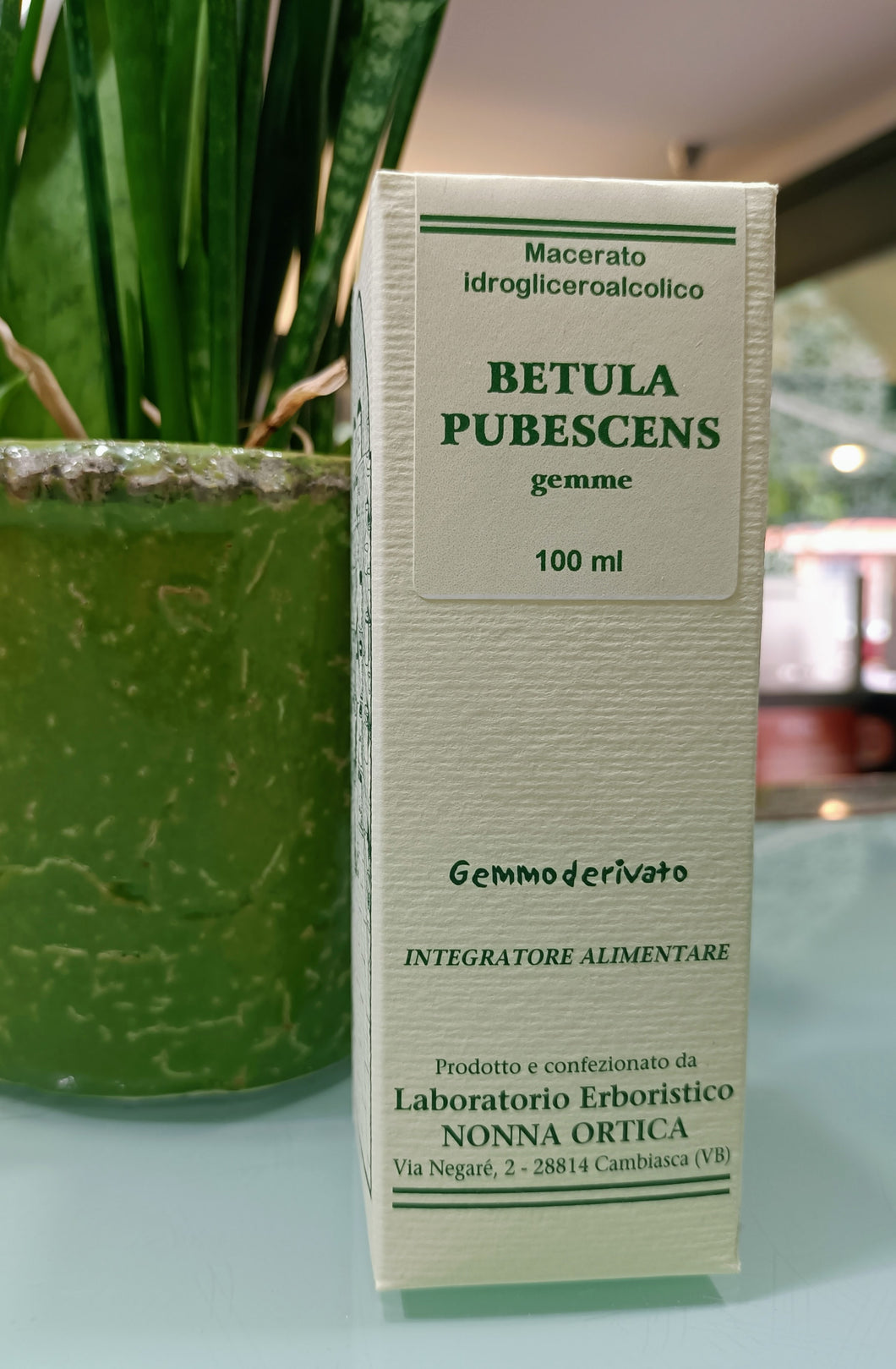 BIRKE BETULA PUBESCENS GEMMODERIVATIV 100 ML