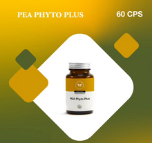 Load image into Gallery viewer, PEA PHYTO PLUS 60 CAPSULE
