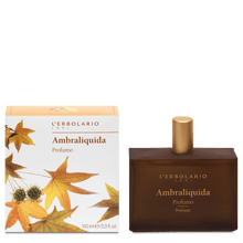 Load image into Gallery viewer, AMBRALIQUIDA PERFUME LINE 100 ML 
