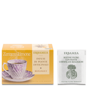 TISANA BIO ZENZERO LIMONE 20 FILTRI