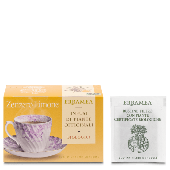 TISANA BIO ZENZERO LIMONE 20 FILTRI