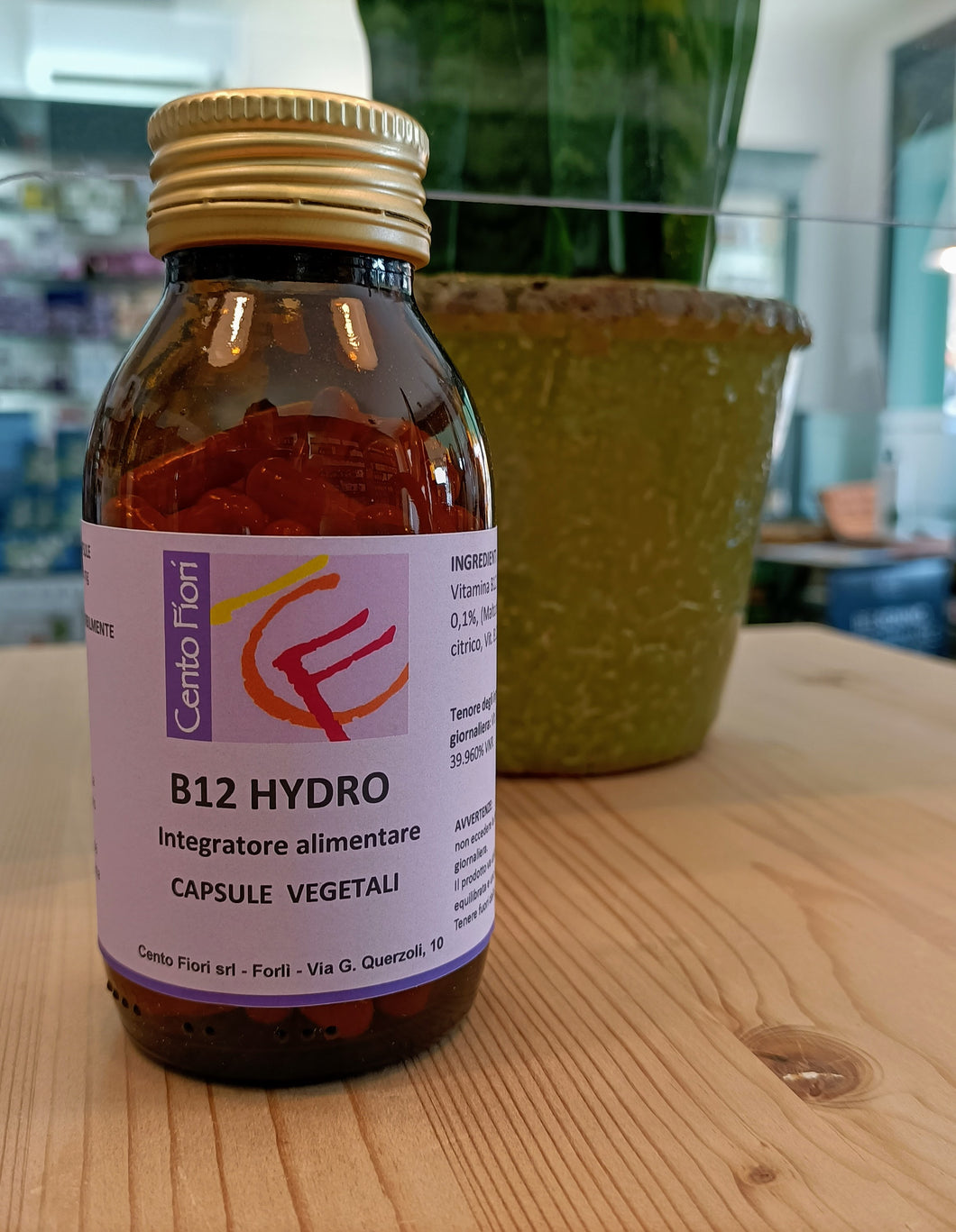 B12 HYDRO 100 VEGETABLE CAPSULES