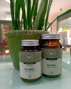 ECOFLOR – LAKTISCHE FERMENTE