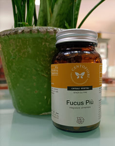 FUCUS PLUS CENTOFIORI 100 KAPSELN