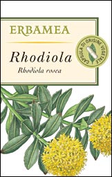 RHODIOLA ERBAMEA 50 CAPSULES (RHODIOLA ROSEA) 