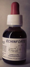 Laden Sie das Bild in den Galerie-Viewer, ECHINFORTE 50 ML – IMMUNABWEHR
