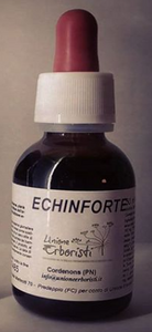 ECHINFORTE 50 ML - IMMUNE DEFENSES