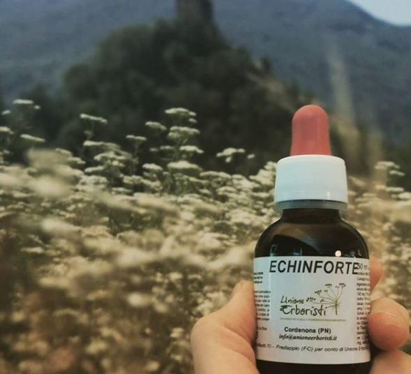 ECHINFORTE 50 ML - IMMUNE DEFENSES