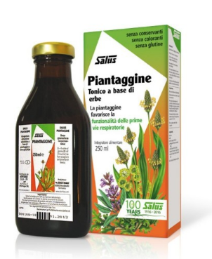 PLANTAIN SYRUP 250 ML 