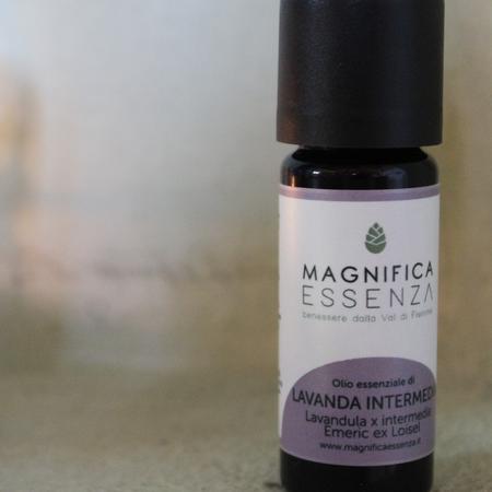 LAVANDA INTERMEDIA BIO 10 ML