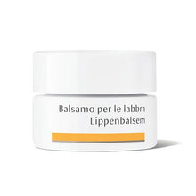 Carica l&#39;immagine nel visualizzatore di Gallery, DR. HAUSCHKA BALSAMO LABBRA VASETTO 4,5 GR
