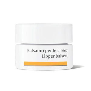 DR. HAUSCHKA LIPPENBALSAM DOSE 4,5 GR