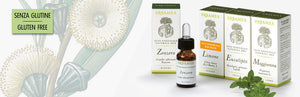 ESSENTIAL OIL 5 ML ROMAN CHAMOMILE 