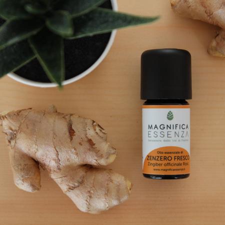 FRESH ORGANIC GINGER 5 ML